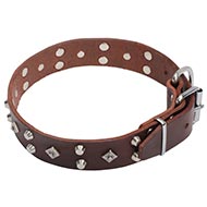 Exklusive Halsbänder Leder mit Brandneuem Design Exklusive Halsbänder Leder mit Brandneuem Design